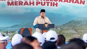 Transfer Data Pribadi RI ke AS Jadi Sorotan, Prabowo: Negosiasi Berjalan Terus