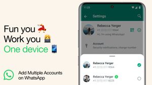 Meta Luncurkan Fitur Multi Account untuk WhatsApp di iOS dalam Versi Beta