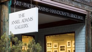 アドビ は、模されたAI画像のためにアンセル・アダムス財団によって強く非難されています
