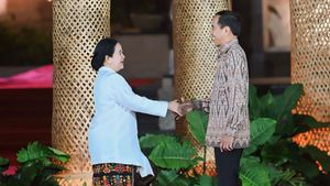 Hasto Regarding Puan And Jokowi's Meeting At WWF Bali: State Duty