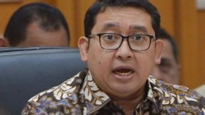 Catatan Akhir Tahun, Fadli Zon Sebut Demokrasi Indonesia Merosot dan Oligarki Menguat