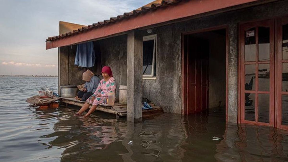 Banjir Rob Rendam 5 Kecamatan di Gresik, Aktivitas Warga Terganggu  