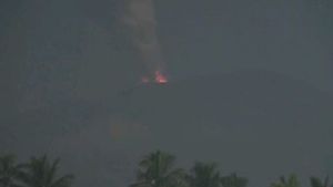 Gunung Ibu Lontarkan Abu Vulkanik hingga 600 Meter