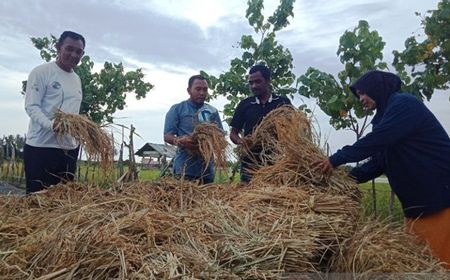 Tahun Ini Dana Desa Difokuskan untuk Pembangunan, Jangan Sampai Dikorupsi