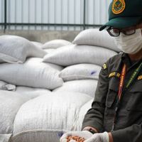 Tinggi Aflatoksin, 40 Ton Kacang Tanah Asal Malaysia Ditolak Masuk RI