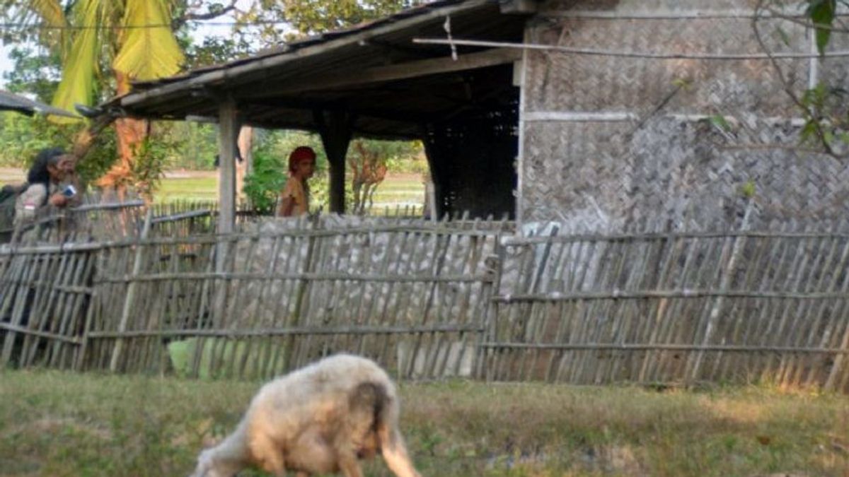 Tens Of Thousands Of Houses In Karawang Are Unfit For Habitation