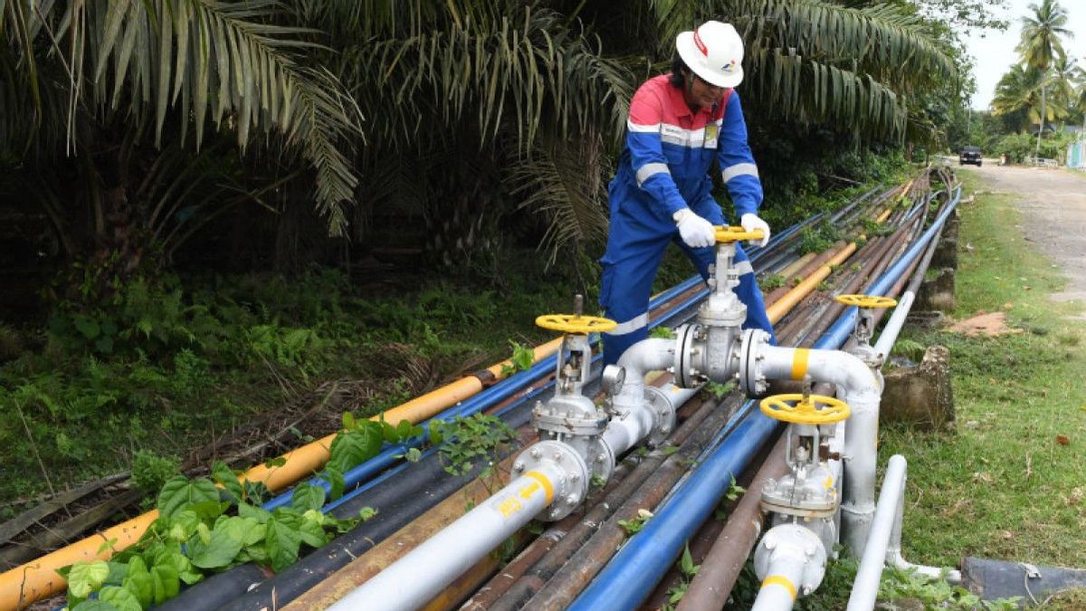 Pertamina Urges Residents Not To Build Buildings To Match Plants In Oil Pipelines