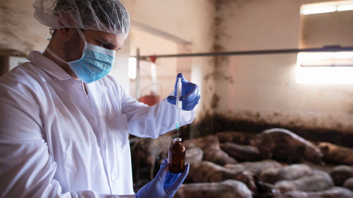 普通の科学ではない!動物の繁殖中に起こる出来事を徹底的に剥がす