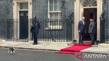 ダウンズ・ストリートで、ラリー・キャットがプラボウォの到着を歓迎する