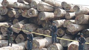 Kemenhut: Pembalakan Hutan Sipora Mentawai Rugikan Negara Rp240 Miliar