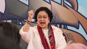 Megawati Responds To Andika-Hendi's Loss To Luthfi-Taj Yasin's Quick Count Version Of The 2024 Central Java Pilkada