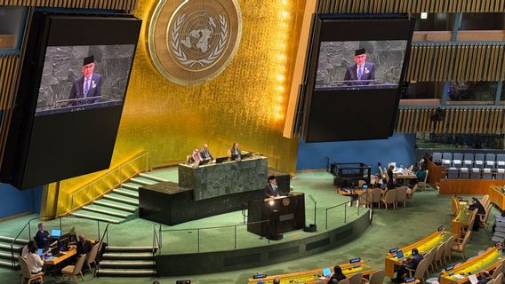 Wamenlu Tata: Mengakui Palestina Kewajiban Berdasarkan Hukum Internasional