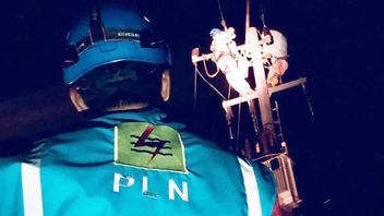 PLN Optimistic Sales Increase Again In The New Normal Period