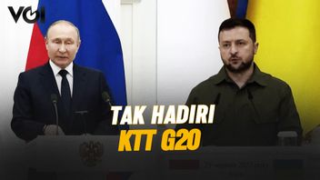 视频：俄罗斯总统和乌克兰总统艾布森在G20巴厘岛峰会上