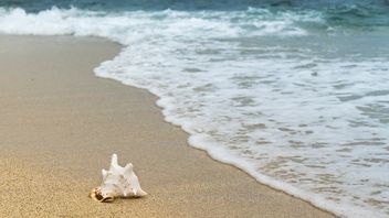 健康のためのビーチ休暇のプラスの影響
