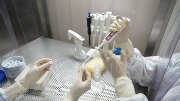 Menristek: Corona Virus Mutation D614G Trouvé à Surabaya, Yogyakarta, Tangerang, Jakarta Et Bandung