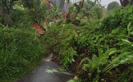 Tuntaskan Longsor Tutup Jalan Wangunjaya Cianjur, BPBD Bakal Pasang Tembok Cegah Susulan