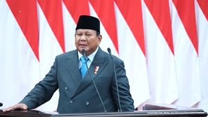 RI Produksi Sawit Terbesar di Dunia Sempat Alami Migor Langka, Prabowo: Sungguh Aneh!
