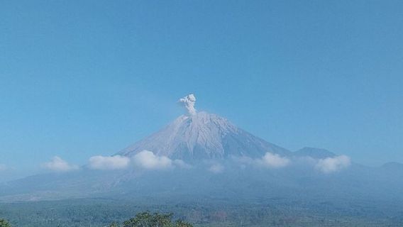 This Morning, Mount Semeru Erupted Again With An Eruption As High As 800 Meters