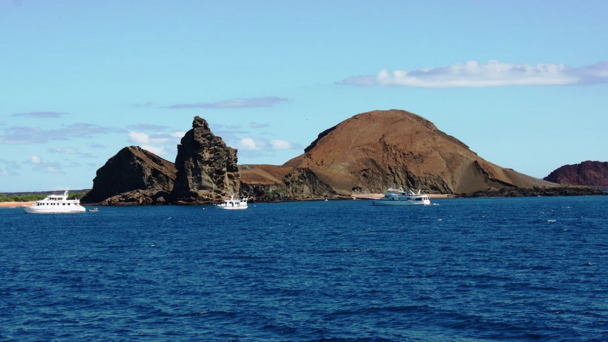 エクアドル海軍がガラパゴス諸島で魚を略奪