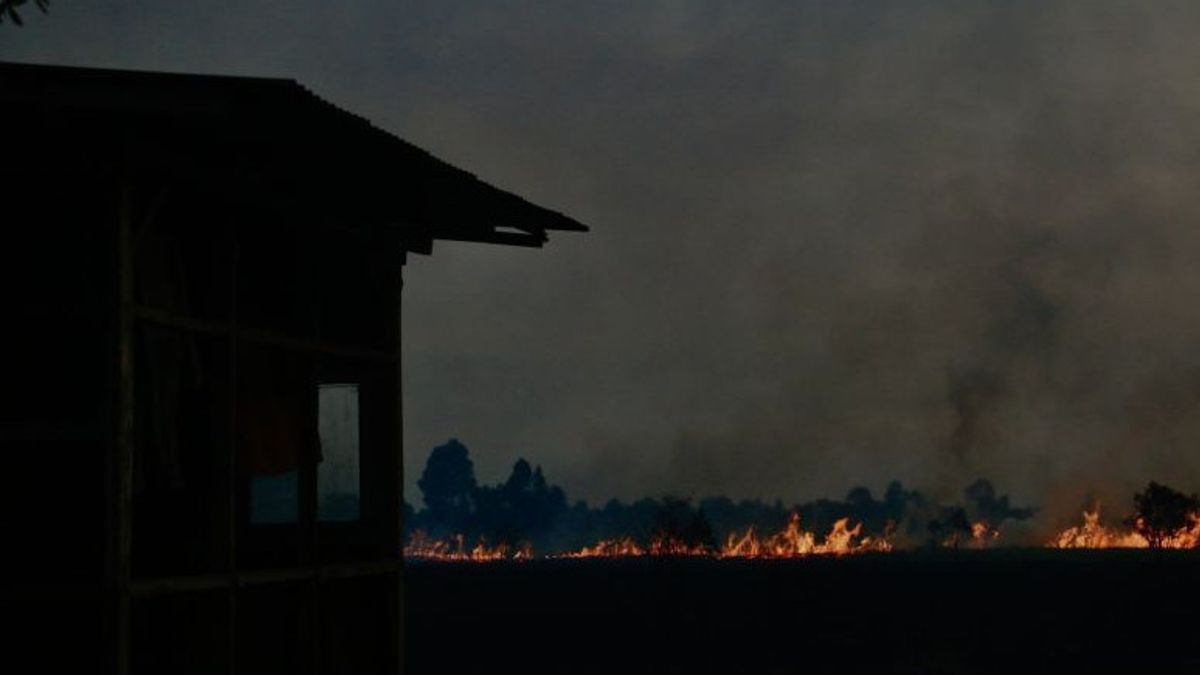 Penampakan Karhutla Nyaris Lahap Pondok Pemilik Lahan di Kota Banjarbaru