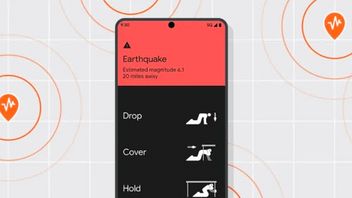 Wrongly Warning, Google Deactivates Earthquake Detection System In Brazil