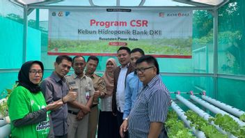 Bank DKI Inaugurates Hydroponic Gardens And Cares For Education Assistance For People With Cerebral Palsy