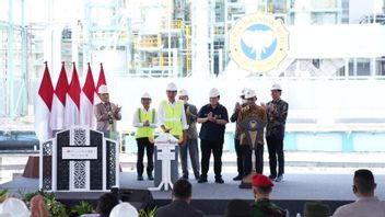 成功最大化国家资源，PTPP的依斯干达穆达化肥NPK工厂由佐科总统揭幕