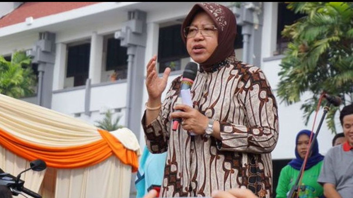 Mau Mundur dari Mensos, DPR: Itu Hak Bu Risma, Jangan Selalu Marah-marah