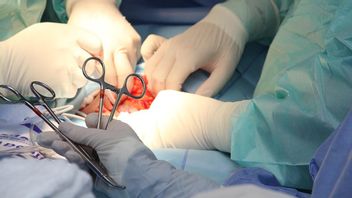 Gawat! Jaringan Transplantasi Organ di AS Dilaporkan Miliki Teknologi yang Ketinggalan Zaman