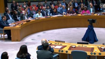 俄罗斯称加沙的人道主义停顿不能取代停火,巴勒斯坦特使:这种混乱必须结束