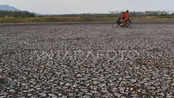9 Districts In Malang Regency Prone To Drought
