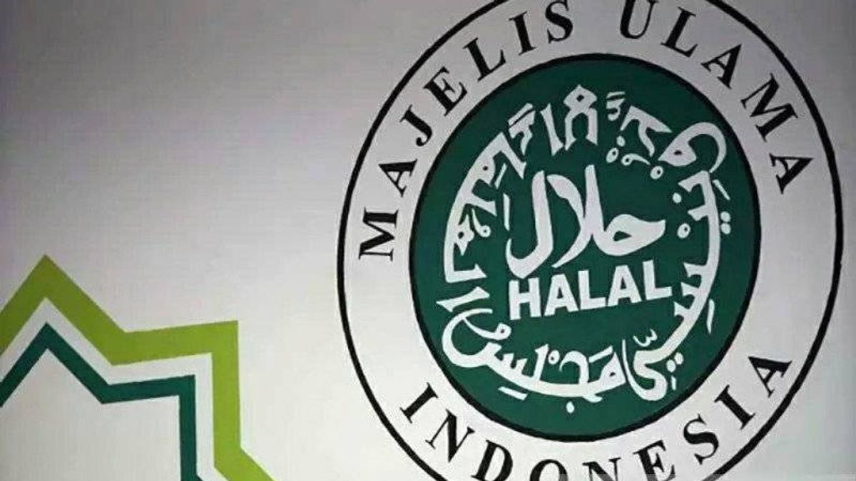 Étude Halal Terminée, MUI Apporte Sinovac Vaccin Audit à Fatwa Session