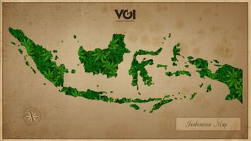 History Of Tradition 420 In Indonesia And The Cannabis Culture Of The Archipelago From Aceh, Ambon, To Java