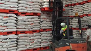 Produksi Beras hingga Oktober 2025 Surplus 3,7 Juta Ton, Swasembada Terjaga Tanpa Impor