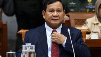 In The 2024 Presidential Election, Prabowo Is Challenged To Follow In The Footsteps Of Megawati To Appoint Someone Else To Be A Presidential Candidate