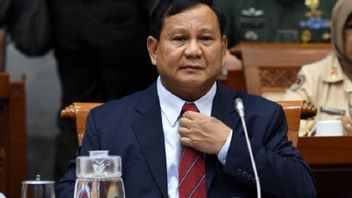 Lors De L’élection Présidentielle De 2024, Prabowo Est Mis Au Défi De Suivre Les Traces De Megawati Pour Nommer Quelqu’un D’autre Candidat à La Présidence