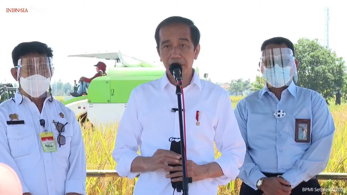 Jokowi: The Government Doesn't Really Like Rice Imports