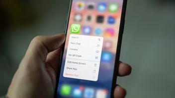 Meta Akan Batasi Jumlah Pesan Bulanan di WhatsApp