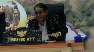 在勒沃托比火山爆发灾难中,NTT省政府确保2024年地区选举继续进行