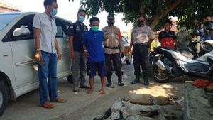 Polisi: Maling Kambing Modus Gorok Ternyata Sering Terjadi di Kabupaten Bekasi 