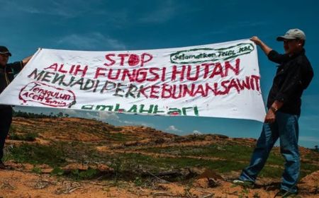 Deforestasi Hutan demi Kelapa Sawit Selalu Dibayangi Ancaman Kerusakan Ekologi dan Konflik Agraria