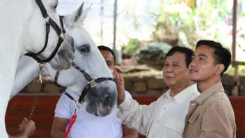Teaches Gibran Horse Riding, Prabowo: This Is The Sunnah Of The Prophet For Muslim Men