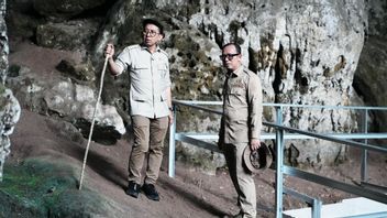 النتائج التي تم العثور عليها في موقع كهف النمر: أكبر من أوسترو ميلانيزيا