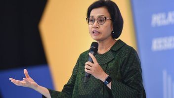 斯里·穆利亚尼佩德 印度尼西亚2022年经济增长达到5.3%