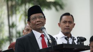 Mahfud MD: Presiden Setuju Beri Amnesti ke Saiful Mahdi, Prosesnya Kini di DPR