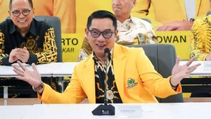 Immediately Call Ridwan Kamil In The BPJB BANK Case, KPK: Limitation Of Investigative Resources