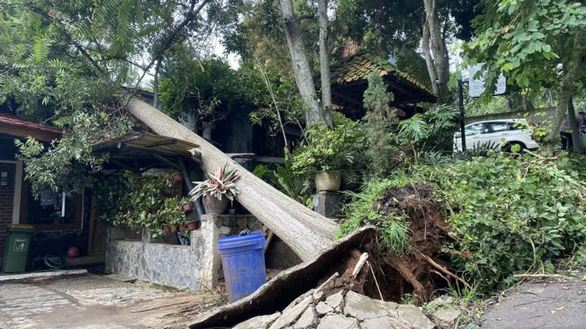 75 bâtiments endommagés par le vent de bleu-baleu à Bandung