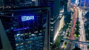 BRI Yakin Program 'Desa Brilian' Ciptakan Pertumbuhan Wirausaha Lokal