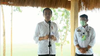La Puissance D’Emak-emak, Senggol Motor Paspampres Jusqu’à L’automne Dans Le Moment De Jokowi Visite à Sumba NTT 